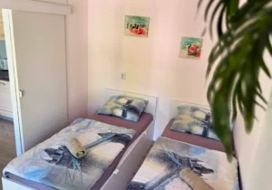 Silesia Camp Donji Karin