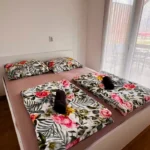 Silesia Camp Donji Karin