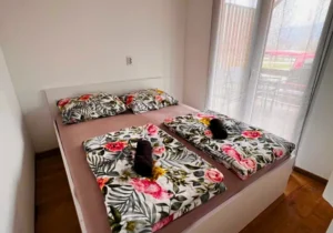 Silesia Camp Donji Karin