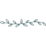 Silesia Camp Donji Karin