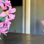 Silesia Camp Donji Karin