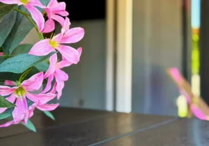 Silesia Camp Donji Karin