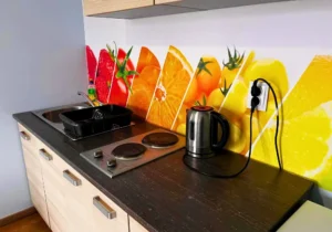 Silesia Camp Donji Karin