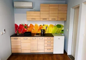 Silesia Camp Donji Karin