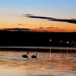 okolice Silesia Camp Donji Karin