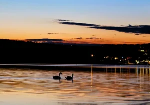 okolice Silesia Camp Donji Karin