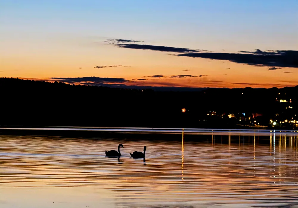 okolice Silesia Camp Donji Karin