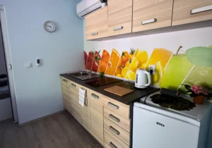 domek Silesia Camp Donji Karin