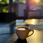 Silesia Camp Donji Karin