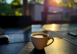 Silesia Camp Donji Karin