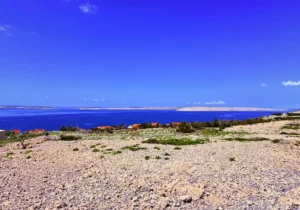 okolice Silesia Camp Donji Karin